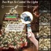 Christmas String Lights for Tree, 400 LEDs Christmas Tree Lights with Memory Function & 8 Modes, 6.6FT x 16 Lines Fairy Lights with Remote Control & Timer for Christmas Tree Decorations - Cold White Christmas String Lights for Tree, 400 LEDs Christmas Tree Lights with Memory Function & 8 Modes, 6.6FT x 16 Lines Fairy Lights with Remote Control & Timer for Christmas Tree Decorations - Cold White